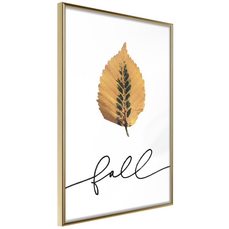 Poster Unusual Leaf - autumn yellow leaf on a contrasting white background 131841 additionalImage 12