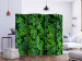 Room Separator Green Clover II (5-piece) - composition with a floral motif 133041 additionalThumb 2