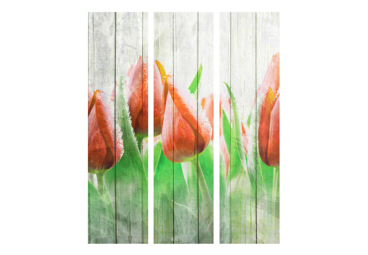 Folding Screen Red Tulips on Wood - flowers on white wooden fence 133641 additionalImage 3