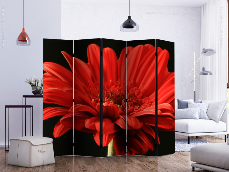 Room Divider Screen Red Gerbera II - flower with red petals on a black background 134041 additionalImage 2