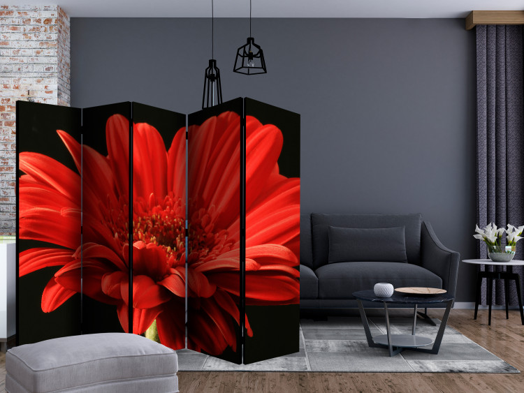 Room Divider Screen Red Gerbera II - flower with red petals on a black background 134041 additionalImage 4