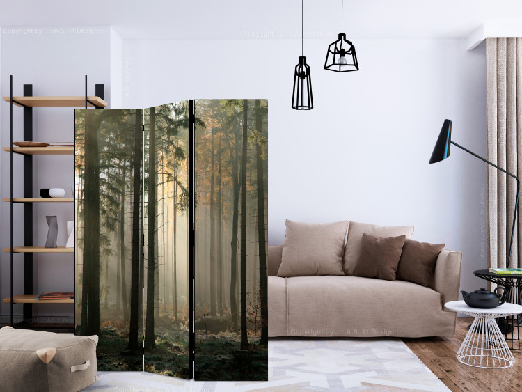 Room Divider Foggy November Morning (3-piece) - sunrise and forest trees 134141 additionalImage 4