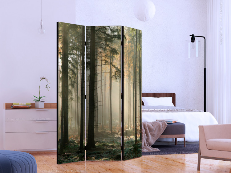 Room Divider Foggy November Morning (3-piece) - sunrise and forest trees 134141 additionalImage 2