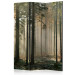 Room Divider Foggy November Morning (3-piece) - sunrise and forest trees 134141