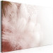 Canvas Art Print Feathers (1-piece) Wide - first variant - abstraction in pink 138241 additionalThumb 2