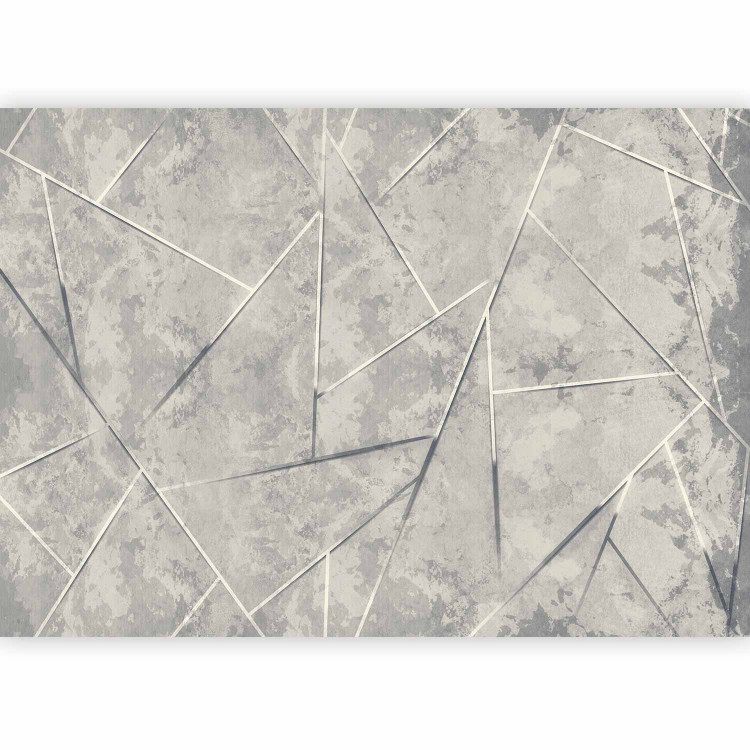 Wall Mural Geometry in a gray version - a composition with an abstract motif 138441 additionalImage 1