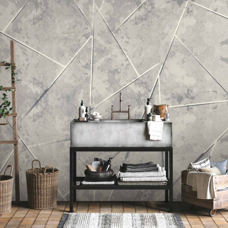 Wall Mural Geometry in a gray version - a composition with an abstract motif 138441 additionalImage 8