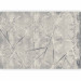 Wall Mural Geometry in a gray version - a composition with an abstract motif 138441 additionalThumb 1