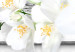 Canvas White Flowers (1-piece) - spring blossoms on an abstract background 144041 additionalThumb 5