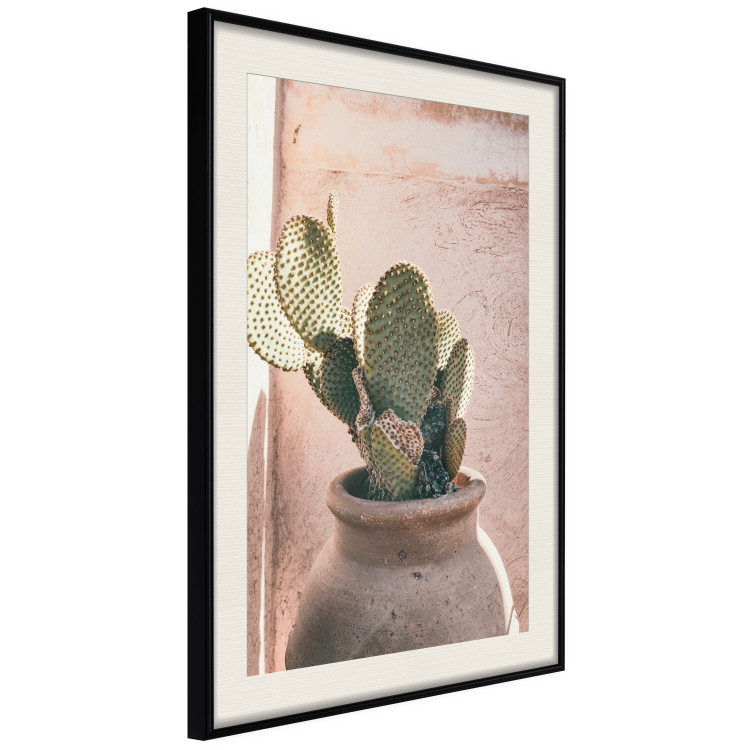 Poster Cactus in a Pot - Coniferous Plant in a Clay Pot 145241 additionalImage 9