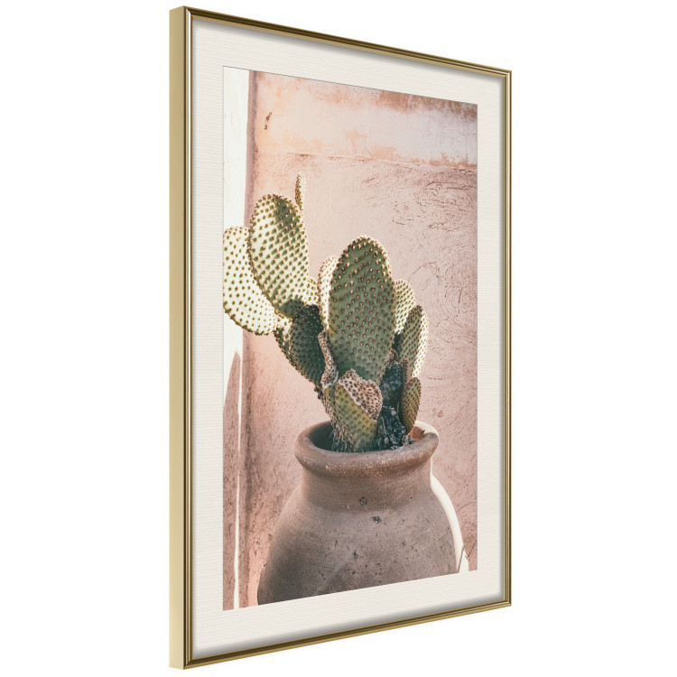 Poster Cactus in a Pot - Coniferous Plant in a Clay Pot 145241 additionalImage 10