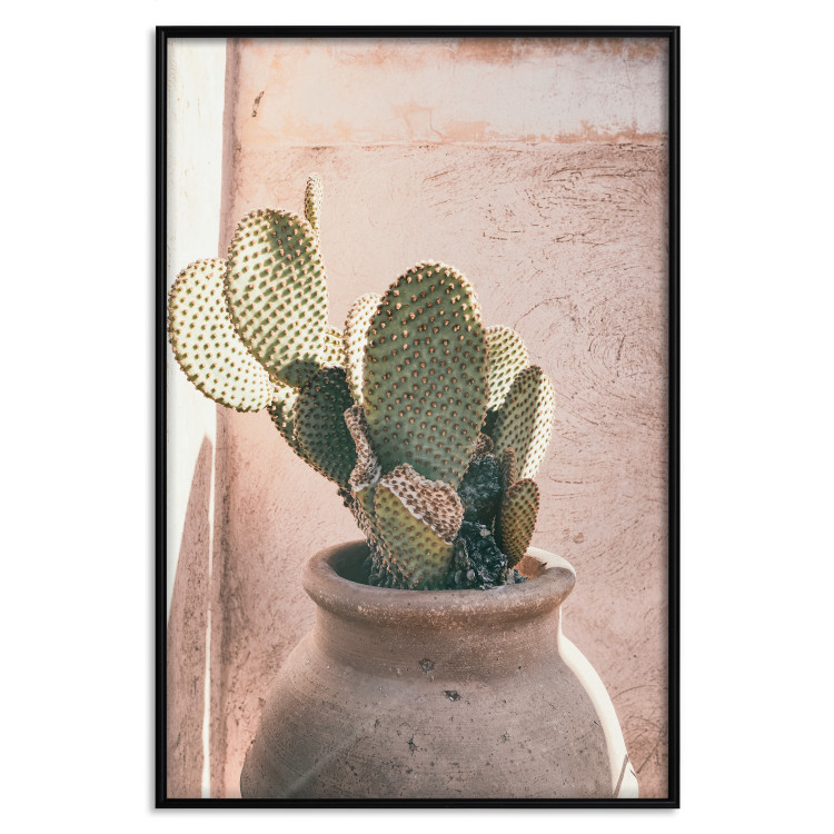 Poster Cactus in a Pot - Coniferous Plant in a Clay Pot 145241 additionalImage 16