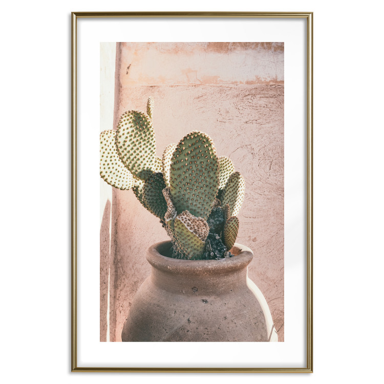 Poster Cactus in a Pot - Coniferous Plant in a Clay Pot 145241 additionalImage 25
