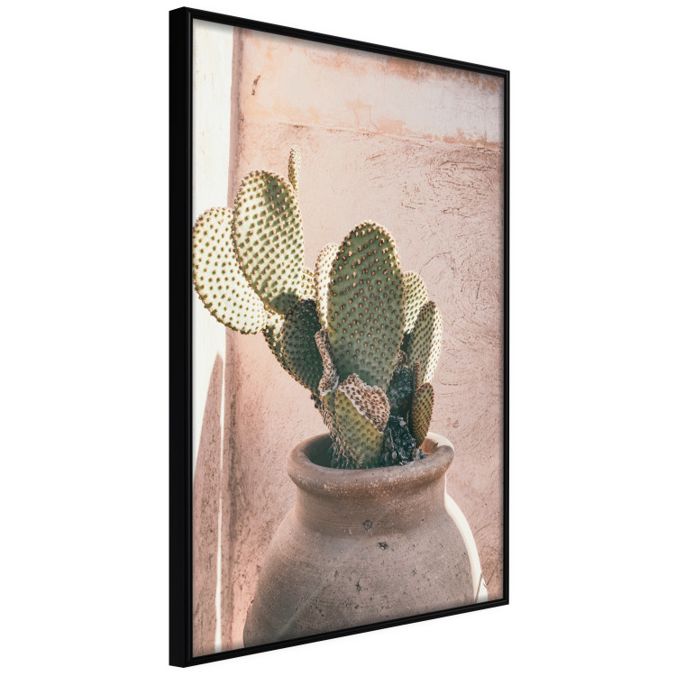 Poster Cactus in a Pot - Coniferous Plant in a Clay Pot 145241 additionalImage 4