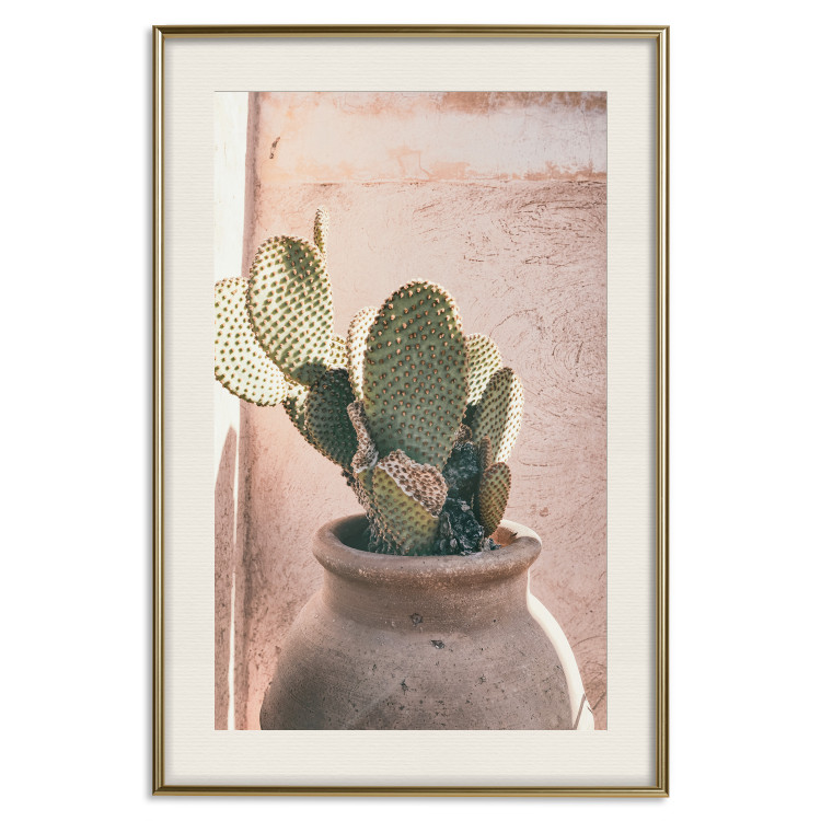 Poster Cactus in a Pot - Coniferous Plant in a Clay Pot 145241 additionalImage 27