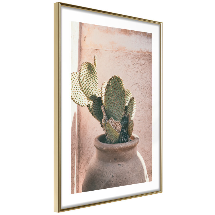 Poster Cactus in a Pot - Coniferous Plant in a Clay Pot 145241 additionalImage 8