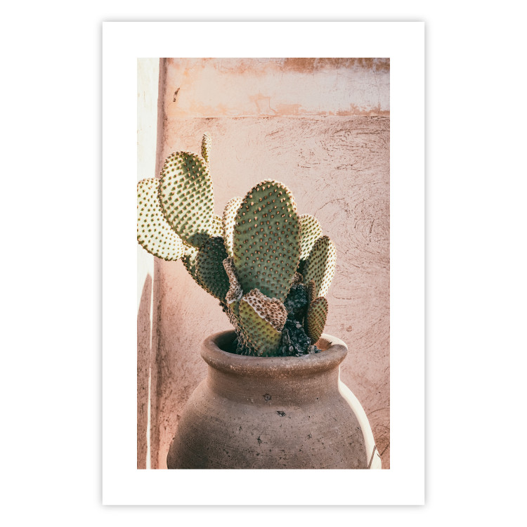 Poster Cactus in a Pot - Coniferous Plant in a Clay Pot 145241 additionalImage 21