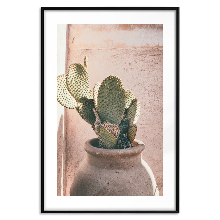 Poster Cactus in a Pot - Coniferous Plant in a Clay Pot 145241 additionalImage 24