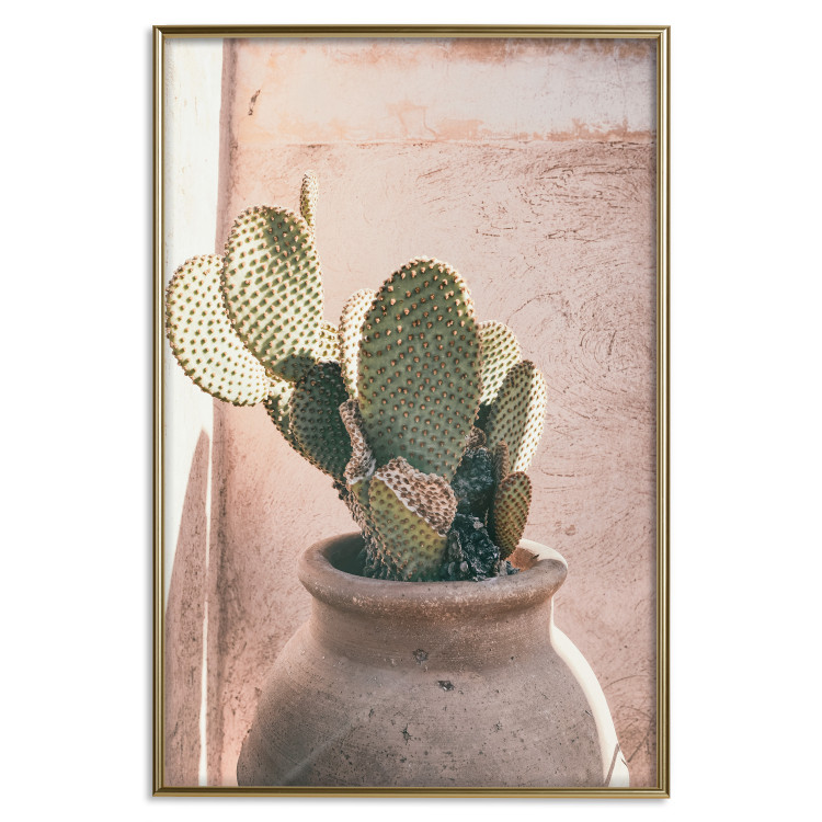 Poster Cactus in a Pot - Coniferous Plant in a Clay Pot 145241 additionalImage 17