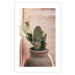 Poster Cactus in a Pot - Coniferous Plant in a Clay Pot 145241 additionalThumb 21