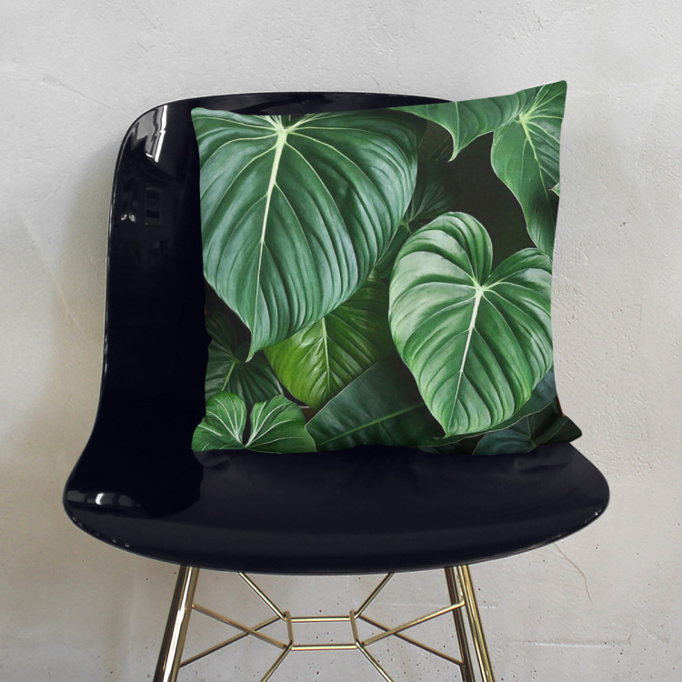 Decorative Microfiber Pillow Philodendron gloriosum - exotic plants with rich detailing cushions 146841 additionalImage 3