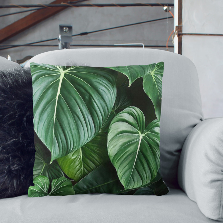 Decorative Microfiber Pillow Philodendron gloriosum - exotic plants with rich detailing cushions 146841 additionalImage 6