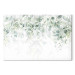 Large canvas print Delicate Touch of Nature - Plants in Pastel Delicate Greens on a White Background [Large Format] 151041