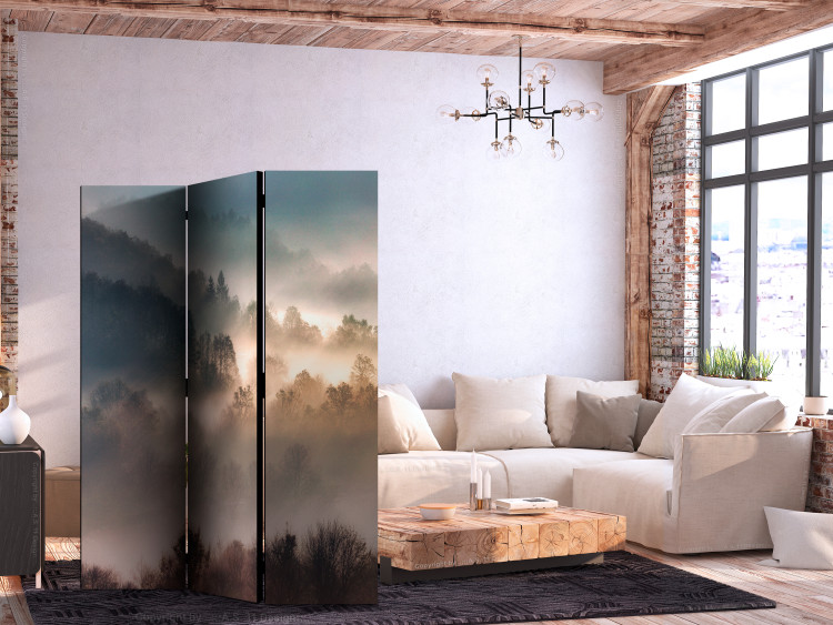 Folding Screen Mountainous Forest - Landscape in Nostalgic Mist [Room Dividers] 159541 additionalImage 4