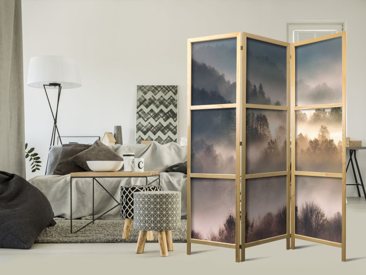 Folding Screen Mountainous Forest - Landscape in Nostalgic Mist [Room Dividers] 159541 additionalImage 8