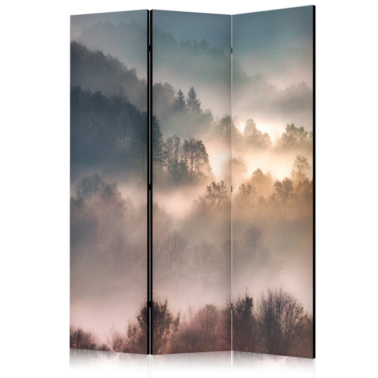 Folding Screen Mountainous Forest - Landscape in Nostalgic Mist [Room Dividers] 159541