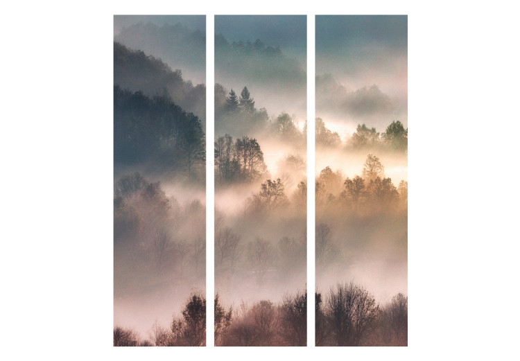 Folding Screen Mountainous Forest - Landscape in Nostalgic Mist [Room Dividers] 159541 additionalImage 7