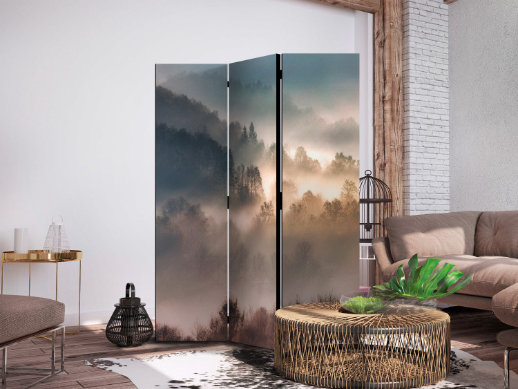 Folding Screen Mountainous Forest - Landscape in Nostalgic Mist [Room Dividers] 159541 additionalImage 2