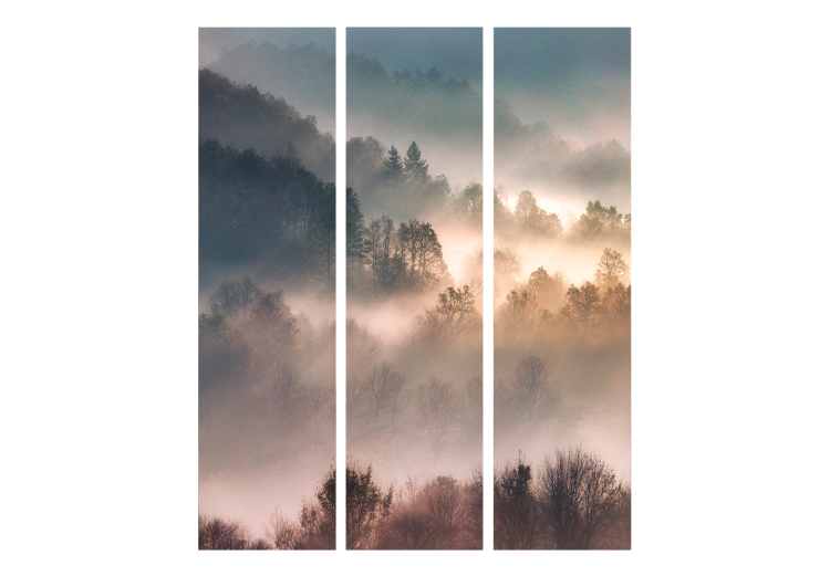 Folding Screen Mountainous Forest - Landscape in Nostalgic Mist [Room Dividers] 159541 additionalImage 3