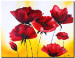 Canvas Print Burgundy Poppies (1-piece) - flowers on a whimsical background in yellow and white 47541