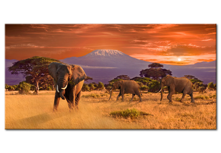 Canvas Print Adventure in Africa 58541
