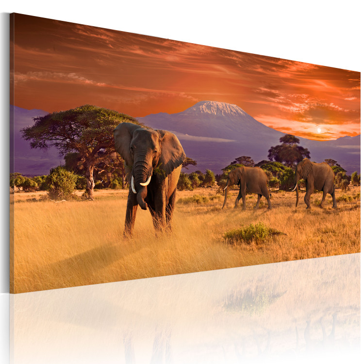 Canvas Print Adventure in Africa 58541 additionalImage 2