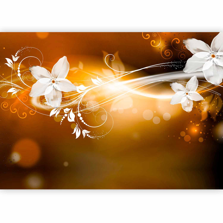 Photo Wallpaper Floral dynamism - white flowers with ornaments on a radiant background 97141 additionalImage 1