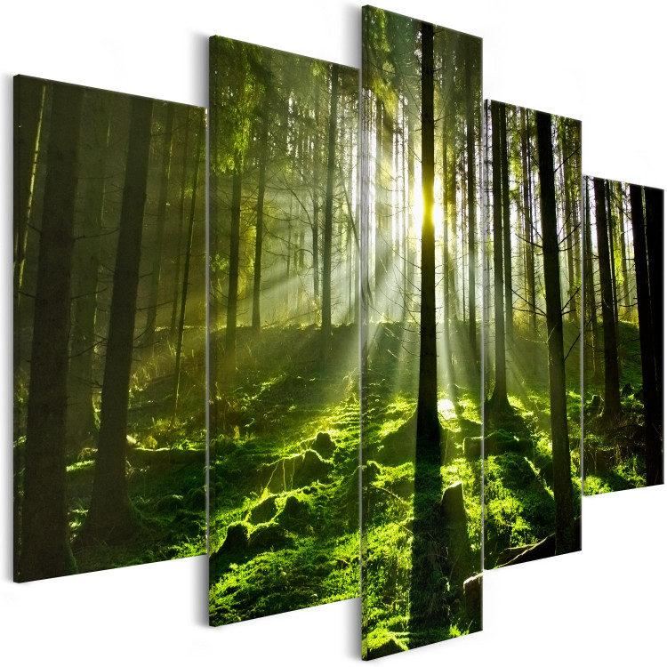 Canvas Peace of Mind (5-part) Wide - Forest Landscape with Nature's Charm 107251 additionalImage 2