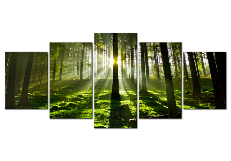 Canvas Peace of Mind (5-part) Wide - Forest Landscape with Nature's Charm 107251