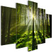 Canvas Peace of Mind (5-part) Wide - Forest Landscape with Nature's Charm 107251 additionalThumb 2