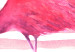 Canvas Art Print Flamingo in Pink Style (1-part) - Bird Against Bold Stripes 115251 additionalThumb 5