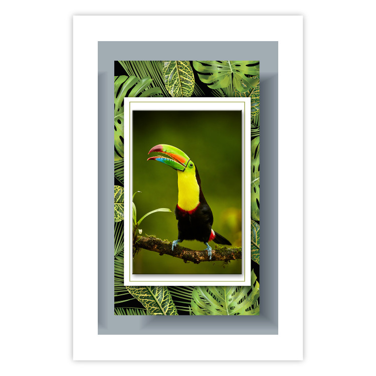 Poster Toucan - colorful bird sitting on a branch among tropical leaves 116451 additionalImage 25
