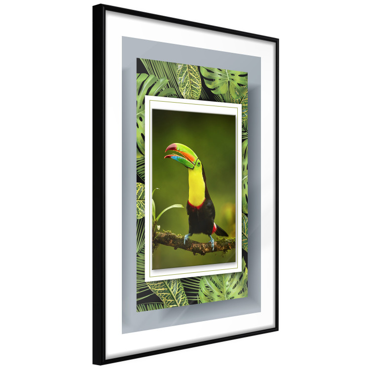 Poster Toucan - colorful bird sitting on a branch among tropical leaves 116451 additionalImage 11