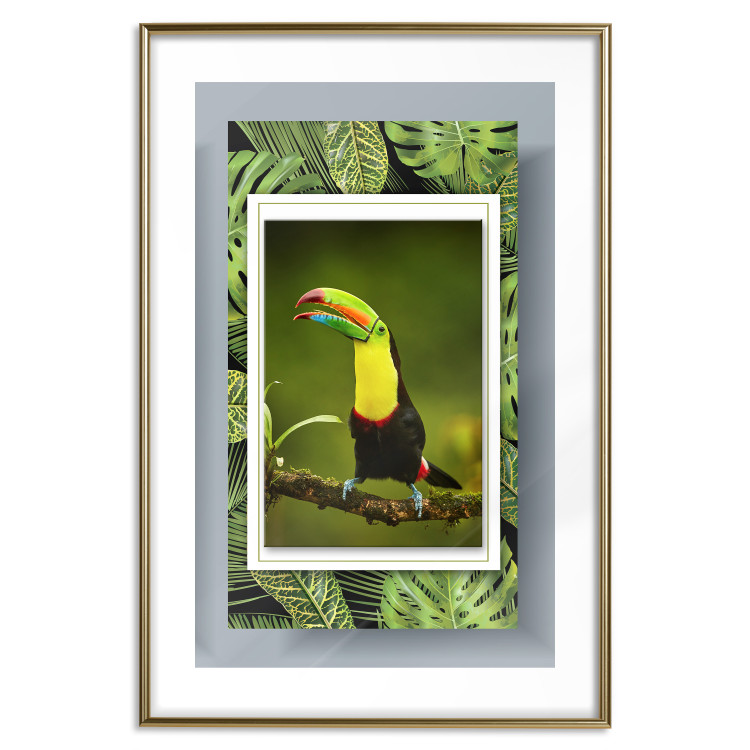 Poster Toucan - colorful bird sitting on a branch among tropical leaves 116451 additionalImage 16