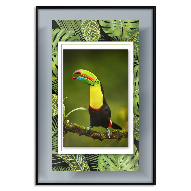 Poster Toucan - colorful bird sitting on a branch among tropical leaves 116451 additionalImage 24