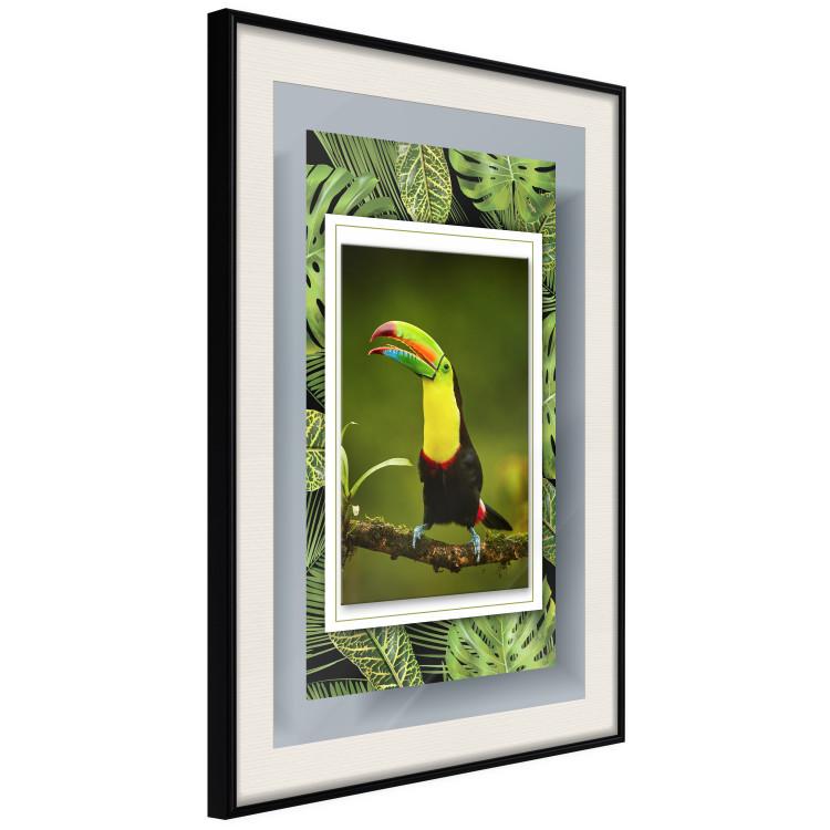 Poster Toucan - colorful bird sitting on a branch among tropical leaves 116451 additionalImage 3