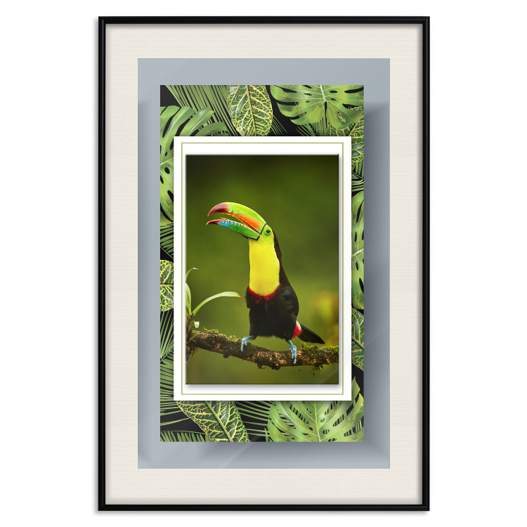Poster Toucan - colorful bird sitting on a branch among tropical leaves 116451 additionalImage 18