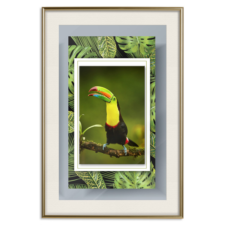 Poster Toucan - colorful bird sitting on a branch among tropical leaves 116451 additionalImage 19