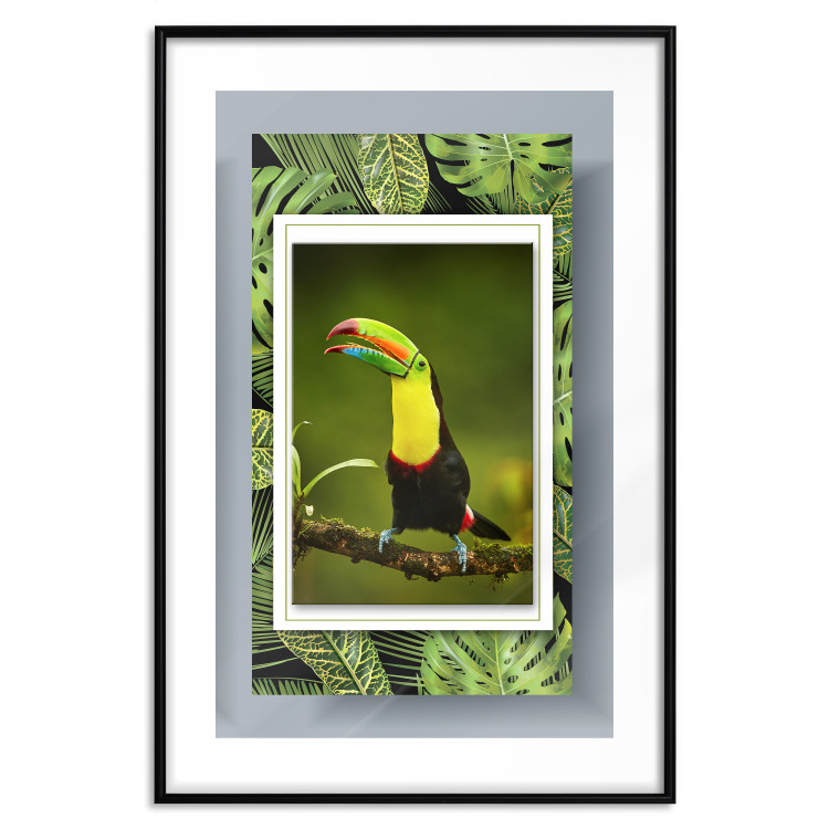 Poster Toucan - colorful bird sitting on a branch among tropical leaves 116451 additionalImage 15