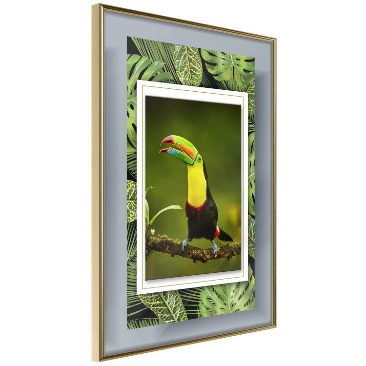 Poster Toucan - colorful bird sitting on a branch among tropical leaves 116451 additionalImage 12